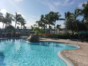 Vacation in Paradise