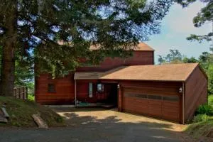 Whale Song - Mendocino