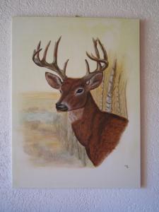 Haus Holunder Weissbriach