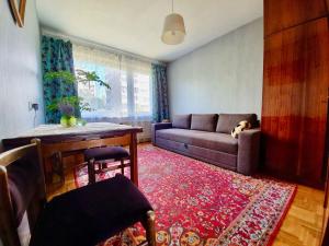 Clean and Spacious 2 Bedroom Apartment in Vilnius