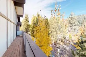 Squaw Valley Ski Flat - 塔霍城