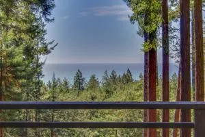 The Redwood House - Fish Rock