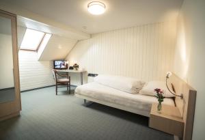 Single Room room in Hotel Kreuz