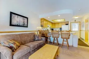 Snowdance Condo A101 - Keystone