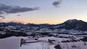 Vasaras māja Ferienhaus Mätzler Švarcenberga Austrija