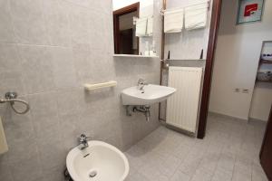 Apartments Saša - pets friendly!