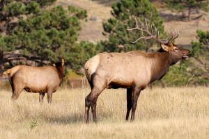 Great Outdoors - Permit #3428