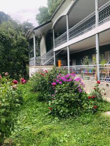 Guest House Vivaushba