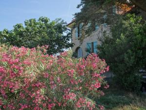 Appartements Domaine du Petit Tournebelle : Appartement - Vue sur Jardin