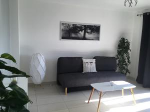 Appartements T2 Saint martin d'heres proche Campus : Appartement 1 Chambre