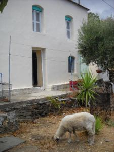 The House of Ikarus Ikaria Greece