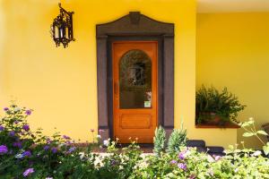 B&B Massico Apartments