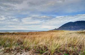 The Little Brown House MCA #705