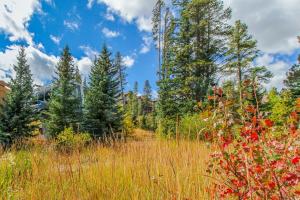 Romance at Riverbends Snowflake Lift