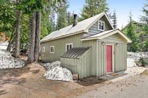 Sno-Bird #11 - Timberline