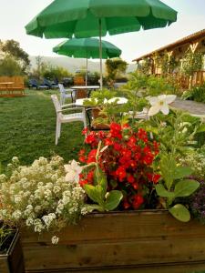 Pensiunea Poezii Alese