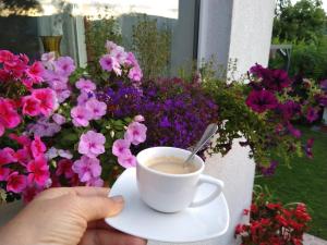 Pensiunea Poezii Alese