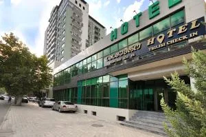 Tbilisi Check In - 鲁斯塔维