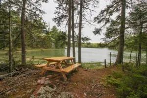 Midcoast Serenity - Cushing