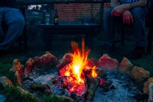 Cherry Tree Glamping