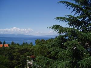 Apartments Villa Elizabet 
