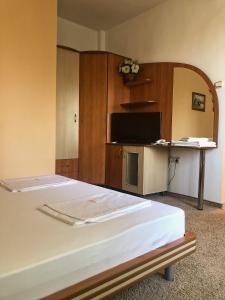 Large Double Room room in hotel TEDI