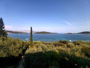 Apartment Tinka - 3hvězdičkové hotely ve městě Korčula