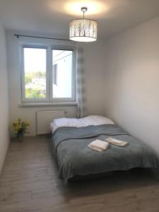 Apartament Winorośli