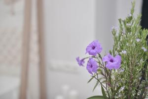 Blue Paradise Apartments