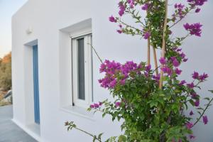 Blue Paradise Apartments Naxos Greece