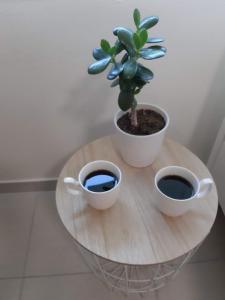 Perfect Location δίπλα στον Μύλο των ξωτικών, το τέλειο μέρος για τις γιορτινές σας αποδράσεις!