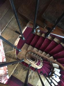 Le Jardin Darcy Liberté Hyper centre gare-ville parking public payant dans la rue