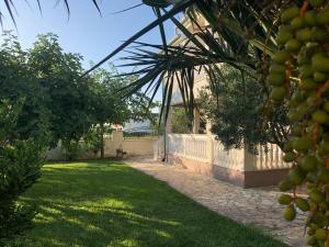 Villa Olive Grove Ferienhaus in Kroatien direkt am Meer nahe Zadar und Nin