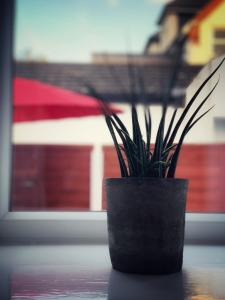 Pauls Place near Heathrow