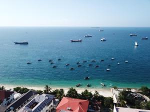 zLife Stone Town
