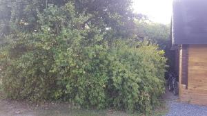 Chalets Chalet Domaine du Hulobiet : photos des chambres