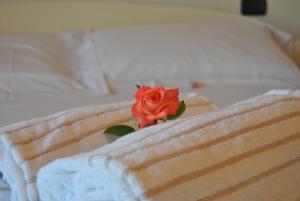 Romeo & Giulietta in bicicletta