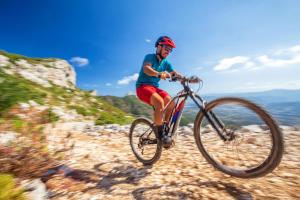 bedbike Baunei img26