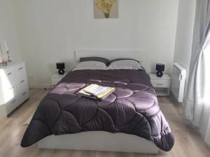 Appartements duplex agreable et calme : photos des chambres