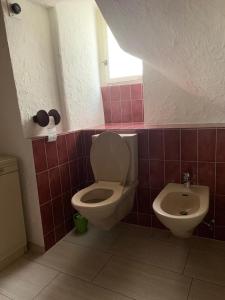 Friendly Hostel Zürich