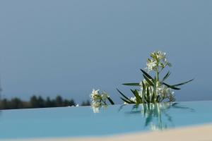 Drimonari Villas Lefkada Greece