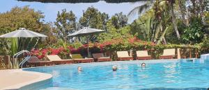 Al Hamra Jungle Resort