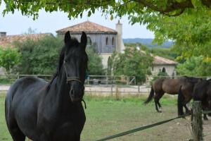 Tentes de luxe Domaine St Christophe : Tente 1 