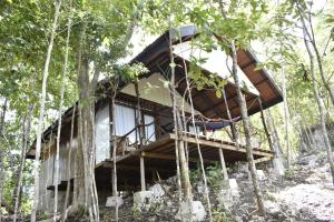 Araya Dive Resort Togean