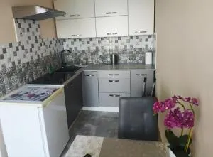 Oskar Apartament Centrum PKP - 马佐夫舍地区明斯克