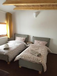 Casa de Vacanta Saru Dornei