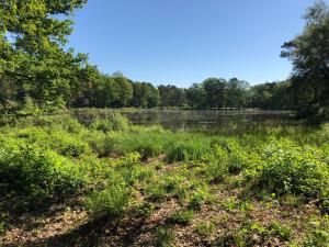 t Vosseven vakantiepark