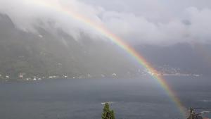 Gli Ulivi di Nesso