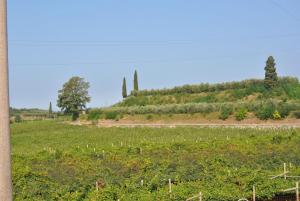 Romeo & Giulietta in bicicletta