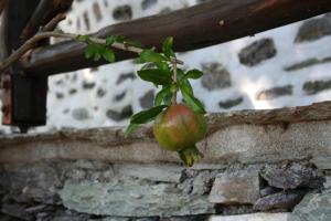 Villa Neraida Pelion Greece